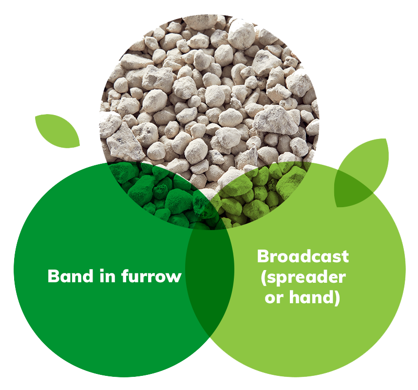 Agrsilica Chip Fertiliser, Agripower