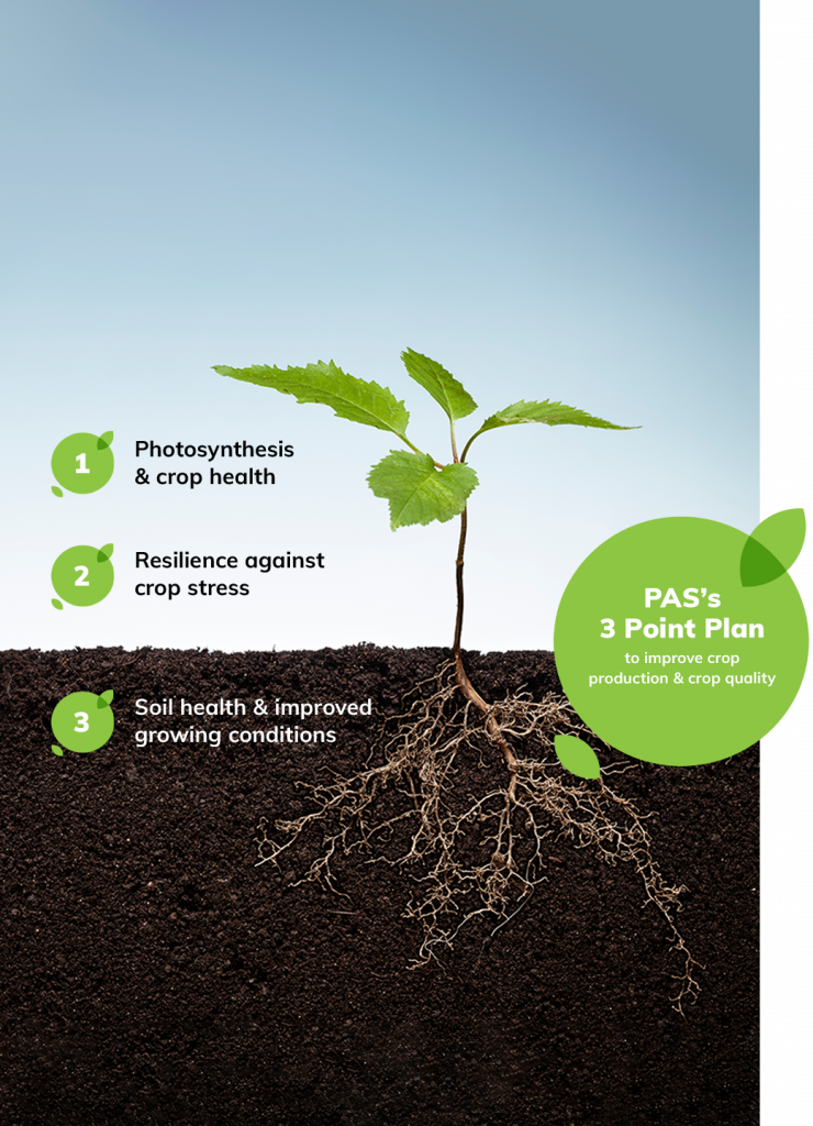 Silicon Science - Agripower | The Science behind Agrisilica®