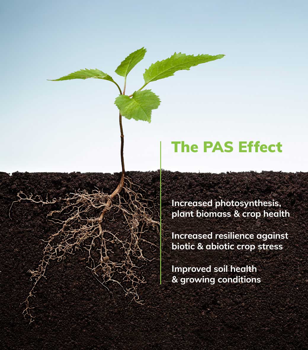 Agripower - The PAS Effect